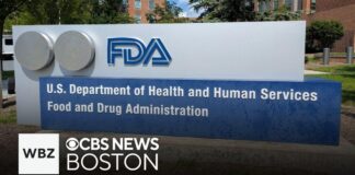 FDA’s new AI tool “Elsa” could provide breakthrough treatment for diseases like Alzheimer’s FDA's new AI tool "Elsa" could provide breakthrough treatment for diseases like Alzheimer's