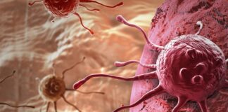 The 15th AACR cancer progress report highlights scientific advances Heart-healthy habits can improve overall physical and psychological well-being