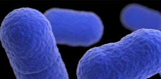 Man hospitalized after contracting ‘flesh-eating bacteria’ near Annapolis Man hospitalized after contracting ‘flesh-eating bacteria’ near Annapolis