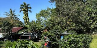 New initiative looks to support Hawaii students’ nutrition New initiative looks to support Hawaii students' nutrition