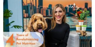 PawCo Turns 4 With Bold Expansion Plans To Lead The Future Of Dog Nutrition PawCo Turns 4 With Bold Expansion Plans To Lead The Future Of Dog Nutrition