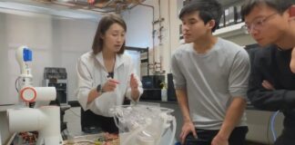 Stanford researchers unveil breakthrough for treating blood clots in stroke, heart attack patients Stanford researchers unveil breakthrough for treating blood clots in stroke, heart attack patients