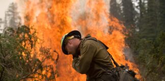 The silent mental health crisis on the frontlines of fire Prepping and burning around Trinity Guard Station during the Trinity Ridge Fire in the Boise National Forest, Idaho, in August 2012.