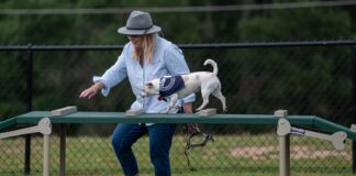 Tips for achieving good emotional and mental health Tips for achieving good emotional and mental health