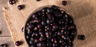 4 Benefits of Acai Berries Gray gradient