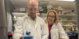 Asthma drug shows strong promise as breakthrough food allergy treatment Asthma drug shows strong promise as breakthrough food allergy treatment