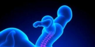 Breakthrough Discoveries in Tendinopathy Treatment: Unveiling the Active Breakthrough Discoveries in Tendinopathy Treatment: Unveiling the Active