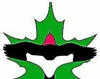 Geauga Park District naturalist to lead Nature Trek Fitness Hike – News-Herald Geauga Park District naturalist to lead Nature Trek Fitness Hike – News-Herald