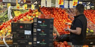 Gov. Lee seeks SNAP nutrition waivers Gov. Lee seeks SNAP nutrition waivers