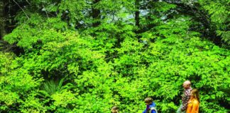 How to make mental health matter How to make mental health matter