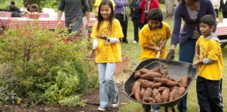The presidential fitness test is nostalgia in the worst way The presidential fitness test is nostalgia in the worst way