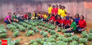 Nutrition ‘Takes’ Healthy Strides In Jharkhand | Ranchi News Nutrition 'Takes' Healthy Strides In Jharkhand | Ranchi News