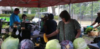 Savannah non-profit to lose SNAP-Ed funding, halting nutrition education Savannah non-profit to lose SNAP-Ed funding, halting nutrition education