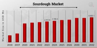 Sourdough Market Set to More Than Double by 2032: Trends, Global Sourdough Market