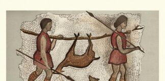 A Biologist Explains The ‘Roman Empire Diet’ — And Compares It To Modern-Day Food Trends A Biologist Explains The ‘Roman Empire Diet’ — And Compares It To Modern-Day Food Trends