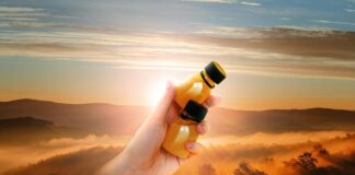 A new dawn for gut health: trends in functional foods 2025 | Category Report A new dawn for gut health: trends in functional foods 2025 | Category Report