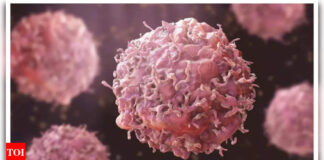 Breakthrough in Cancer treatment: Scientists develop experiential ‘super vaccine’ with ‘outstanding’ results on cancerous mice Breakthrough in Cancer treatment: Scientists develop experiential ‘super vaccine’ with 'outstanding' results on cancerous mice