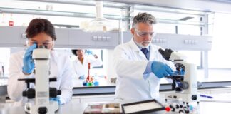 Cephalomannine Compound May Be Mesothelioma Treatment Breakthrough Cephalomannine Compound May Be Mesothelioma Treatment Breakthrough