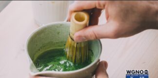 FUELED Wellness + Nutrition | Matcha: What you need to know beyond the social feed FUELED Wellness + Nutrition | Matcha: What you need to know beyond the social feed