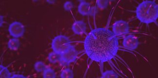 Gene therapy shows a breakthrough in slowing Huntington’s disease progression Neurons sending pulsating electric impulses and communicating with each other