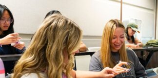 Human Development and Family Studies course equips students with tools to manage stress in adulthood Human Development and Family Studies course equips students with tools to manage stress in adulthood