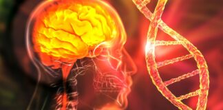 Huntington’s Breakthrough May Not Be The Success It Seems, Expert Cautions : ScienceAlert Huntington's Breakthrough May Not Be The Success It Seems, Expert Cautions : ScienceAlert