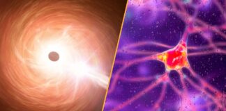 Science news this week: A breakthrough cure for Huntington’s disease and a fast-growing black hole that breaks physics A split image showing a monster black hole on the left and a neuron on the right.