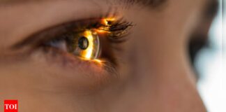 World Retina Day: Doctors say small habits pay off big in protecting your vision daily World Retina Day: Doctors say small habits pay off big in protecting your vision daily