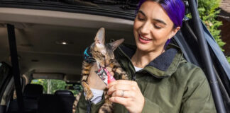 Paralympic Champion Brenna Huckaby On The Power Of Nutrition, Balance, And Cat Naps Paralympic Champion Brenna Huckaby On The Power Of Nutrition, Balance, And Cat Naps