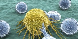 Supercharged cell therapy to target common tumours Supercharged cell therapy to target common tumours