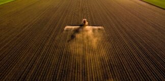 ‘Ask for help’ mental health resources and stress management tips for farmers ‘Ask for help’ mental health resources and stress management tips for farmers