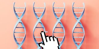 2025 was a year of breakthroughs in health and medicine. Here are five 2025 was a year of breakthroughs in health and medicine. Here are five