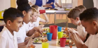 3 findings from the SNA’s latest school nutrition industry report 3 findings from the SNA's latest school nutrition industry report