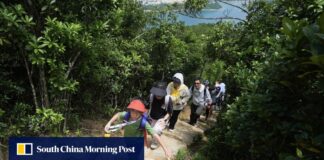 6 health and wellness tips for 2026 – keep things simple, sleep and move more 6 health and wellness tips for 2026 – keep things simple, sleep and move more