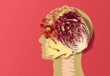 A 7-Step Longevity Plan for Women in Their 30s A 7-Step Longevity Plan for Women in Their 30s