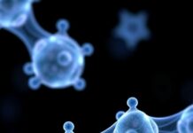 A Breakthrough in Osteoporosis Treatment A Breakthrough in Osteoporosis Treatment