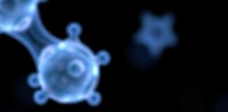 A Breakthrough in Osteoporosis Treatment A Breakthrough in Osteoporosis Treatment