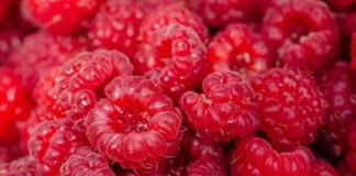 A Harvard oncologist reveals the secret about the big lies of nutrition A Harvard oncologist reveals the secret about the big lies of nutrition