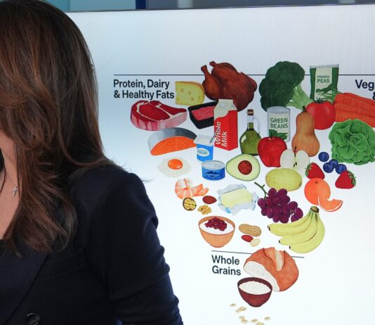 A look at what you should be putting in your grocery cart after the recent food pyramid changes A look at what you should be putting in your grocery cart after the recent food pyramid changes