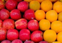 Can colourful plant foods improve heart health? US doctor shares 5 daily habits to support healthy arteries Comscore tracker