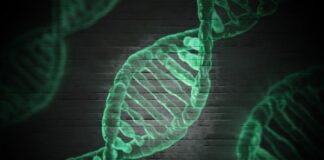 Candida Auris Genetic Breakthrough May Target Treatment Candida Auris Genetic Breakthrough May Target Treatment