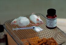 Did Scientists Find Pancreatic Cancer Cure? What to Know About Breakthrough Did Scientists Find Pancreatic Cancer Cure? What to Know About Breakthrough