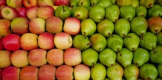 Dietitians Reveal Which Fruit Is More Nutritious Dietitians Reveal Which Fruit Is More Nutritious