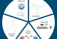 Examples of Breakthroughs that Trace Back to Basic Cancer Biology Examples of Breakthroughs that Trace Back to Basic Cancer Biology