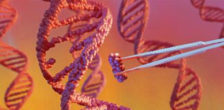 From gene therapy breakthroughs to preventable disease outbreaks: The health trends that will shape 2026 Illustration of a close up of a DNA double helix with tweezers next to it holding a small piece of the DNA, presumably a nucleotide.