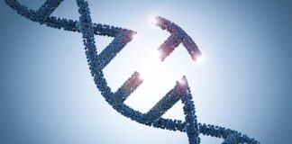 Gene-Editing Breakthrough Ends Transfusions for UK Patient Gene-Editing Breakthrough Ends Transfusions for UK Patient