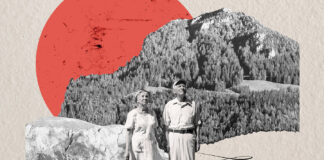 How Small Habits Shape a Longer, Healthier Life How Small Habits Shape a Longer, Healthier Life