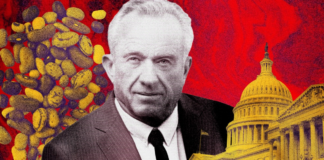 Inside the New Federal Food Pyramid, Protein Anxiety, and the American Diet Inside the New Federal Food Pyramid, Protein Anxiety, and the American Diet