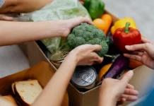 KU Launches New Bachelor of Science in Nutrition to Meet Growing Demand for Food and Health Expertise – Ad Astra Radio KU Launches New Bachelor of Science in Nutrition to Meet Growing Demand for Food and Health Expertise