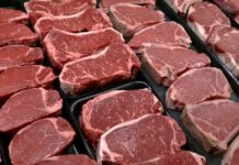 New food pyramid, Affordable Care Act: Morning Rounds New food pyramid, Affordable Care Act: Morning Rounds